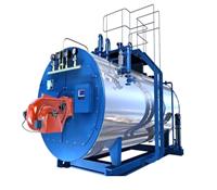 WNS蒸汽鍋爐-節能蒸汽鍋爐